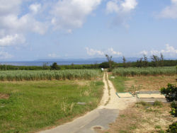 �R�[�g������C��]��