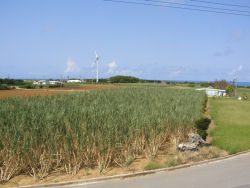 ���A�̂Ȃ���