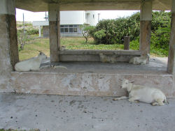 �l����苒�����ǎR�r����