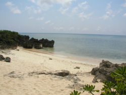 �l�V�_���Q���t��