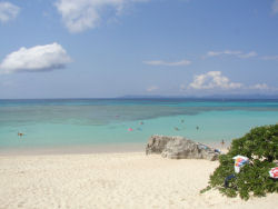 �j�V�l�r�[�`