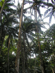 ���G���}���V�Q��