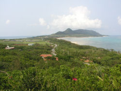 �ʎ��W�]�䂩��