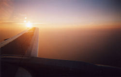 �[�z�̒��ɔ��